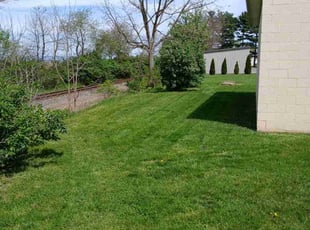 Sarah O.'s Lawn Mowing service result