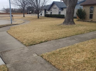 Cleanups by Marcedes Ginn for Chelsea W. in Plano, TX