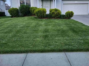 Bush Trimming by Javis Hogan for Amber S. in Omaha, NE