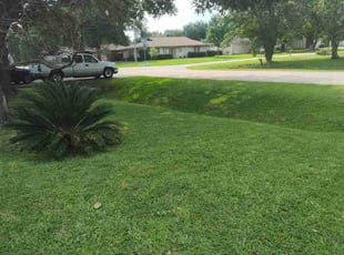 Erma R.'s Lawn Mowing service result