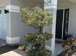 Bush Trimming by Ramon Taguja for Michael S. in Riverview, FL