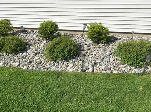 Bush Trimming by Ted Reimel for Karen L. in Cherry Hill, NJ