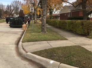 Leaf Removal by John Hellems for tre c. in Sterling Heights, MI