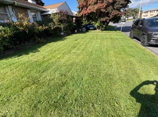 JennetteJ F.'s Lawn Mowing service result