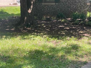 Leaf Removal by Tristan Spradlin for Sara K. in Lexington, KY