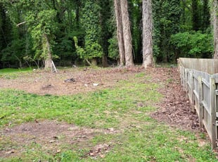 Cleanups by Robert Bass for Ronetta B. in Atlanta, GA