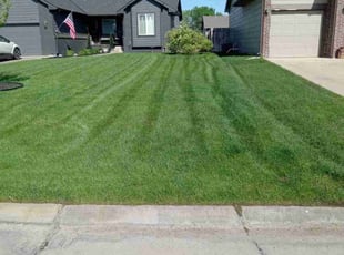 Megan J.'s Lawn Care service result