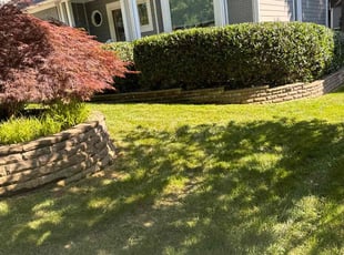 Bush Trimming by Claude Batts for Hector T. in Cornelius, NC