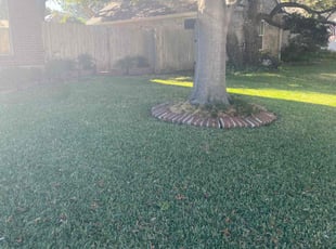 Gerald A.'s Lawn Mowing Service service result