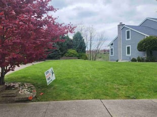Vicki S.'s Lawn Mowing service result