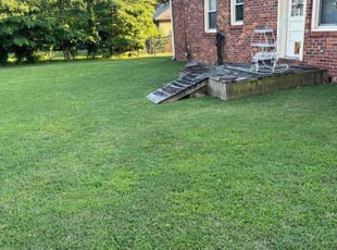 Nikolas S.'s Lawn Maintenance service result