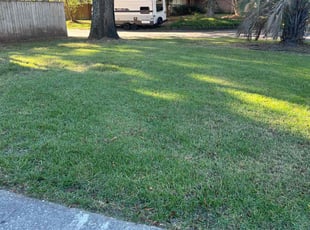 Leaf Removal by Brian Stephenson for John T. in Charleston, SC