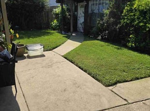 Cameron S.'s Lawn Service service result