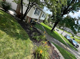 Weeding by Amilcar Flores for William W. in Alexandria, VA