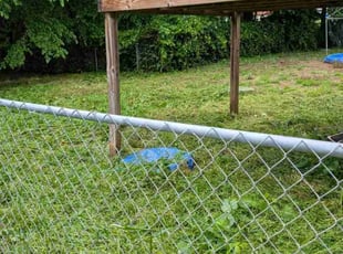 Cleanups by Felicity Rock for Stevie M. in Clinton, TN