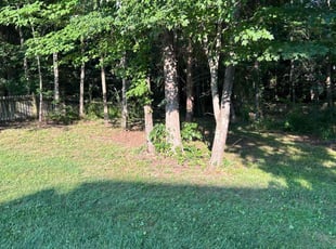 Cleanups by Manuel Soriano for Ellen Ann S. in Greensboro, NC