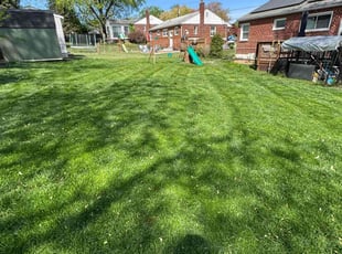 Katharine M.'s Grass Cutting service result
