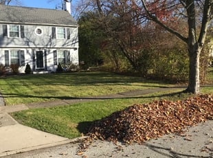 Cleanups by B. Villu Womack for Michelle B. in Cleveland, OH