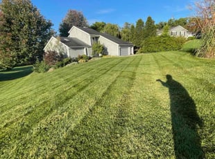 Paula H.'s Lawn Mowing service result