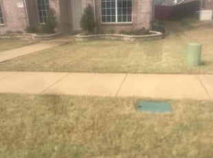Linda H.'s Lawn Mowing Service service result