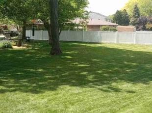 John M.'s Lawn Maintenance service result