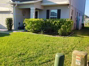 Timothy P.'s Lawn Mowing Service service result