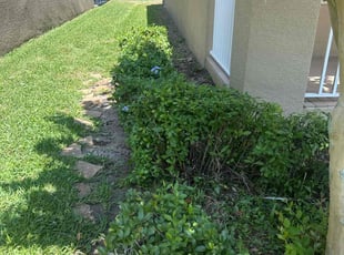 Bush Trimming by Patrick Paul for Matt -. in Winter Garden, FL