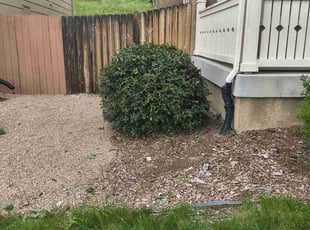 Bush Trimming by Brandon Metzer for Sarah H. in Colorado Springs, CO