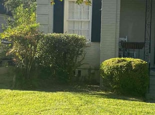 Bush Trimming by William Sellers for LaVonne M. in Charleston, SC