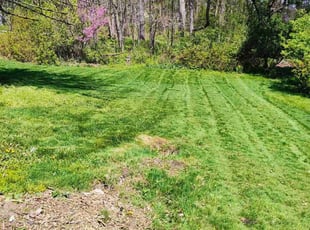 Darlene D.'s Lawn Service service result