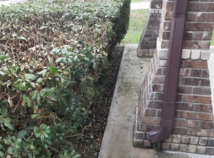 Bush Trimming by Gregory Kluetz for Donna H. in San Antonio, TX