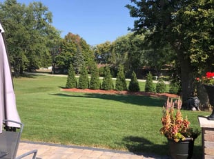 Patrick V.'s Lawn Maintenance service result