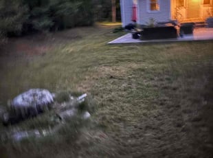 Cleanups by Johnny Canales for Emily W. in Farmington, CT
