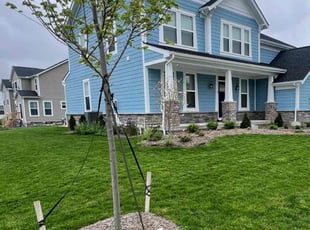 Ronald L.'s Lawn Service service result