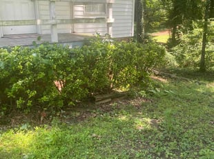 Bush Trimming by Chuck West for Trevor M. in Smyrna, GA