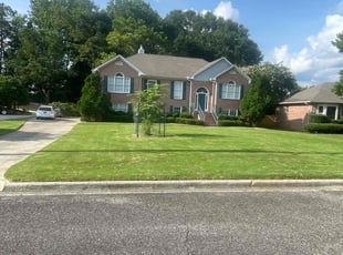 Cleanups by Mark Lanzi for Emily B. in Birmingham, AL