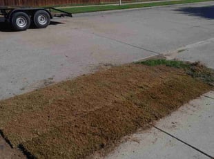 Aeration by Bradley Rearden for Matt H. in Grand Prairie, TX