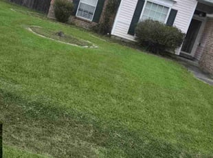 Bush Trimming by Dominique Richard for Freddy M. in Broussard, LA