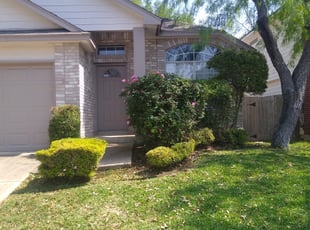 Bush Trimming by Jason Salazar for Gina R. in San Antonio, TX