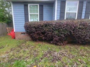 Bush Trimming by Ronald Fisher for La Ruchala M. in Columbia, SC
