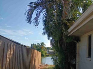Bush Trimming by Derek Washington for Sandra B. in Seminole, FL