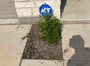 Weeding by Zachary Coonrod for Filmon A. in Denton, TX