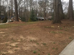Leaf Removal by Rickey McCoy for Nick W. in Marietta, GA