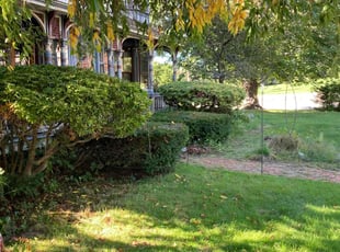 Bush Trimming by Kevin Chapman for Jenny V. in Vernon, CT