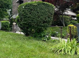 Bush Trimming by Kevin Pagan for Constance W. in Philadelphia, PA