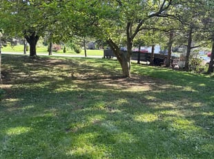 Cleanups by Lora Hetzel for Neil V. in Troy, MI