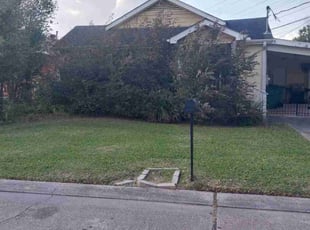 Cleanups by Henry Tillman for Elisa E. in River Ridge, LA
