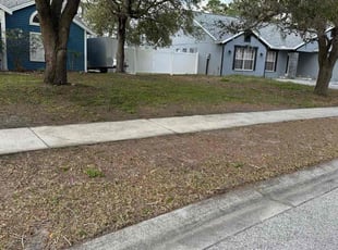 Leaf Removal by Darrol Fox for Jennifer M. in Hudson, FL