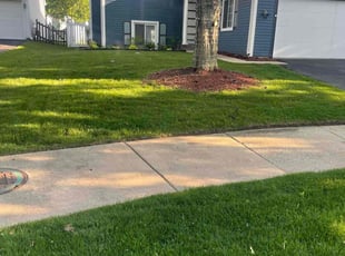Yvonne S.'s Yard Cutting service result