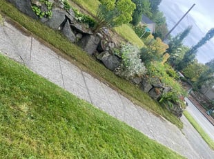 Phillip S.'s Lawn Mowing service result